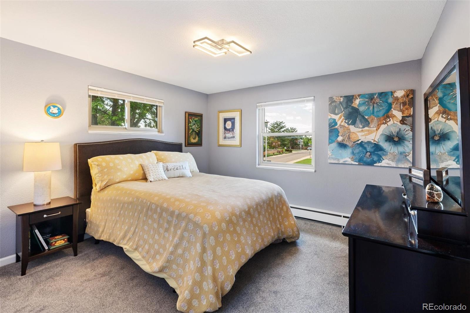 MLS Image #30 for 6083 s lamar drive,littleton, Colorado