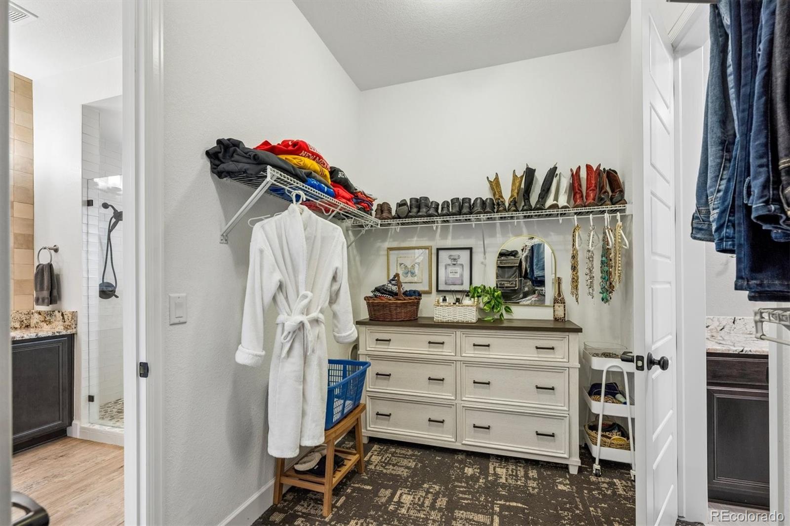 MLS Image #21 for 11299  mission walk street,parker, Colorado