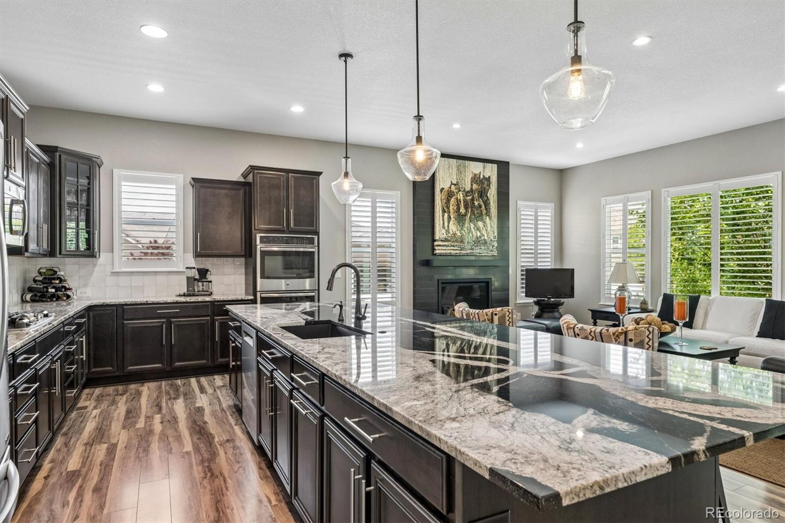 MLS Image #5 for 11299  mission walk street,parker, Colorado