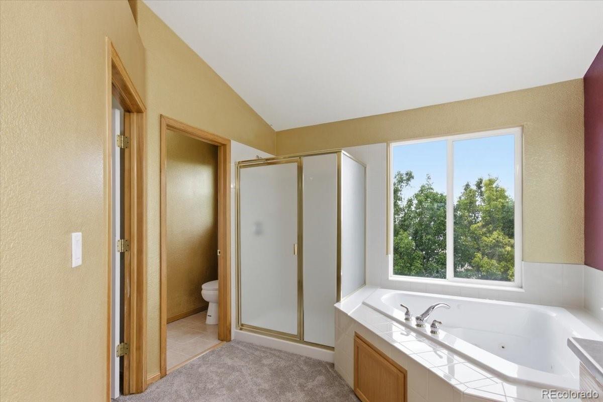 MLS Image #6 for 4598 s ireland street,aurora, Colorado