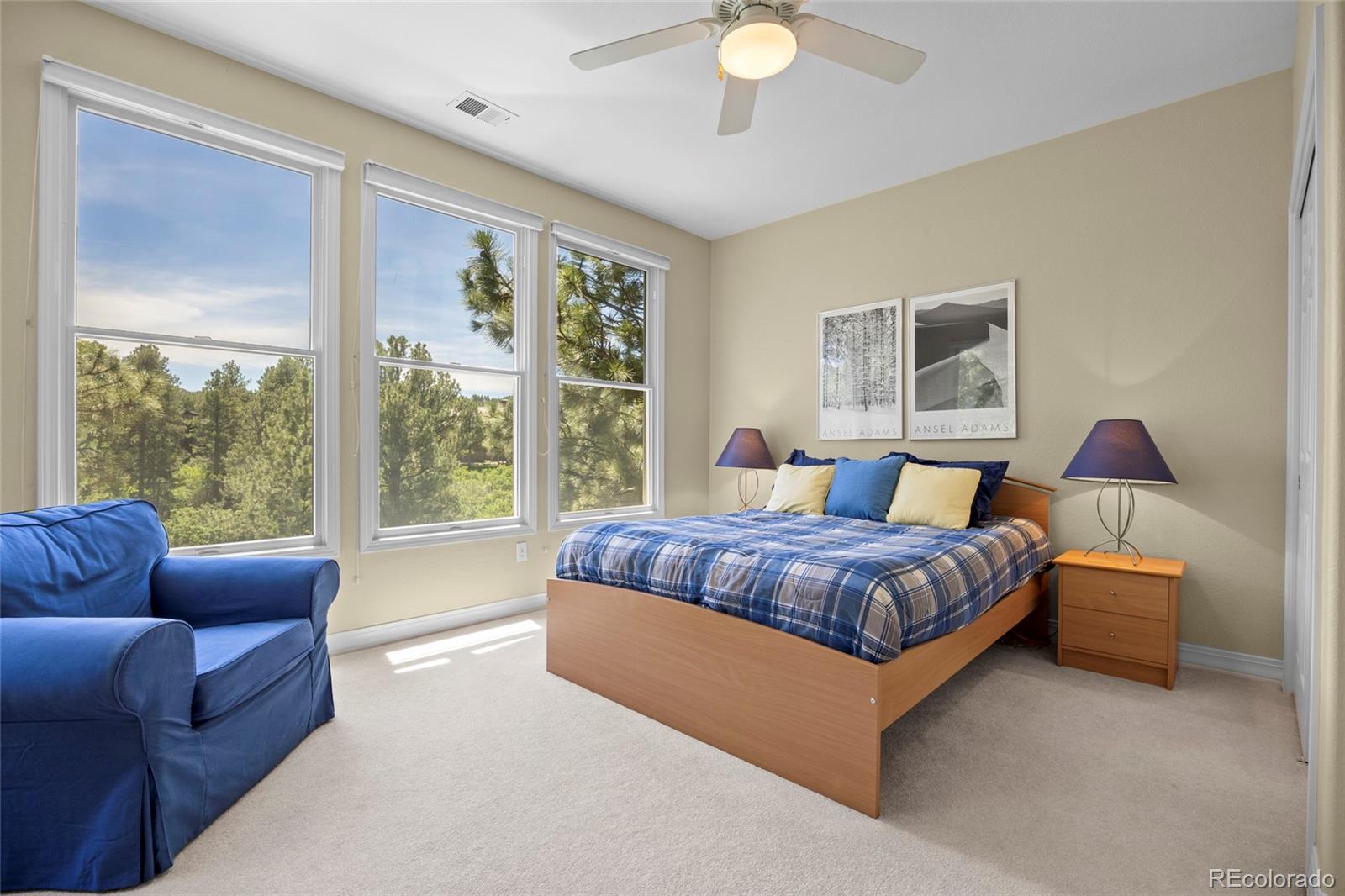 MLS Image #25 for 7018  forest ridge circle,castle pines, Colorado