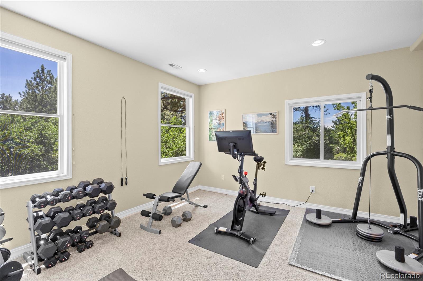 MLS Image #38 for 7018  forest ridge circle,castle pines, Colorado