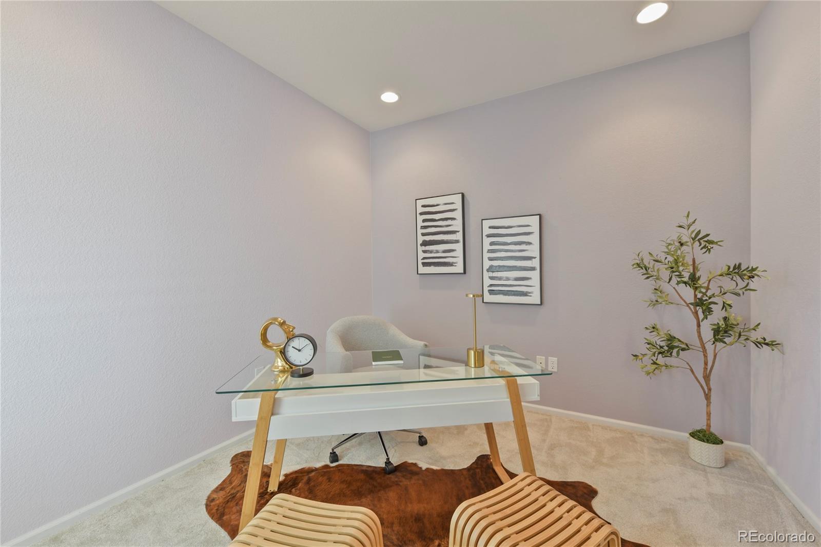 MLS Image #5 for 10037  sylvestor road,highlands ranch, Colorado