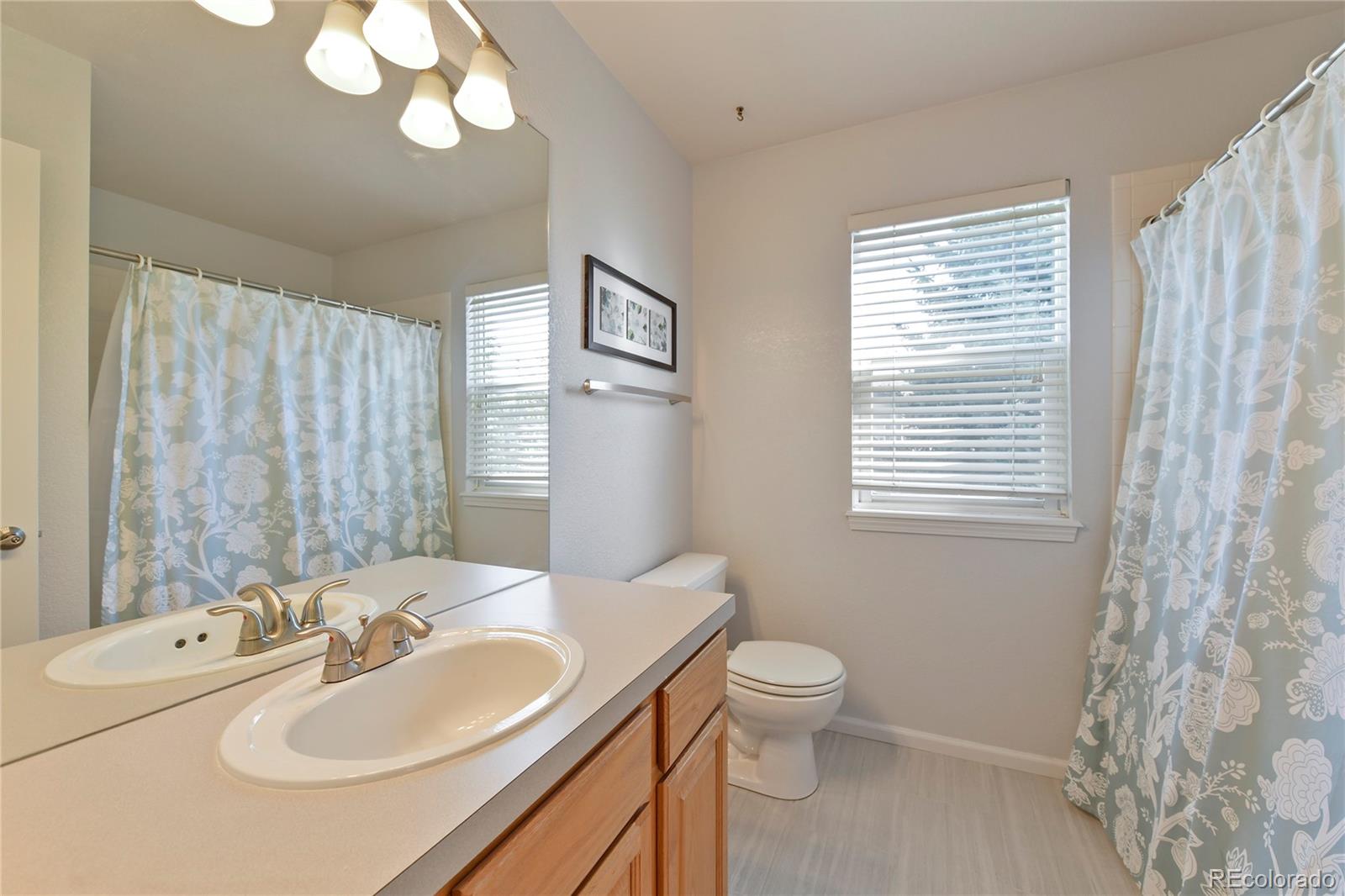 MLS Image #8 for 10037  sylvestor road,highlands ranch, Colorado
