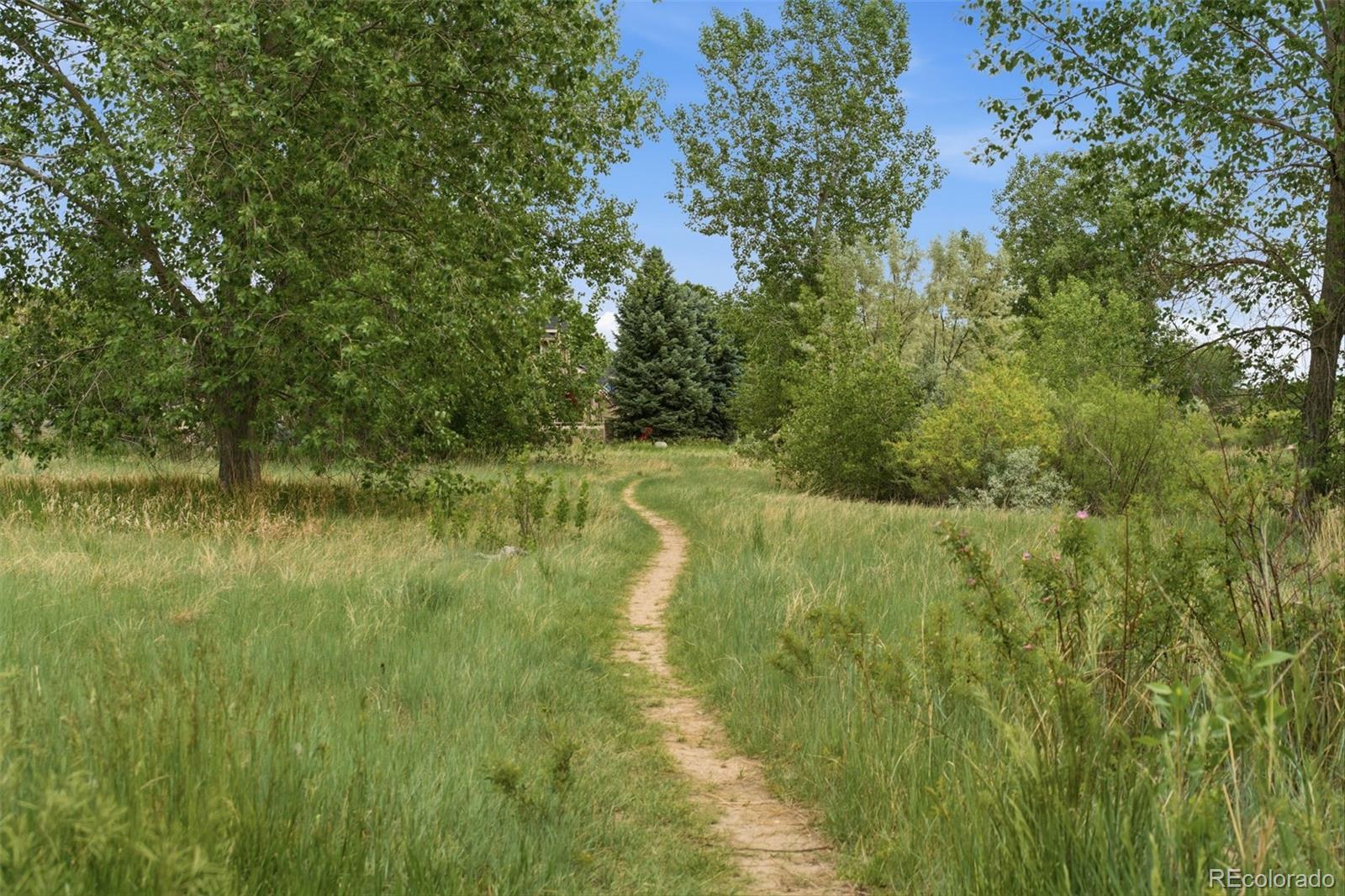 MLS Image #5 for 5408  old mill road,fort collins, Colorado