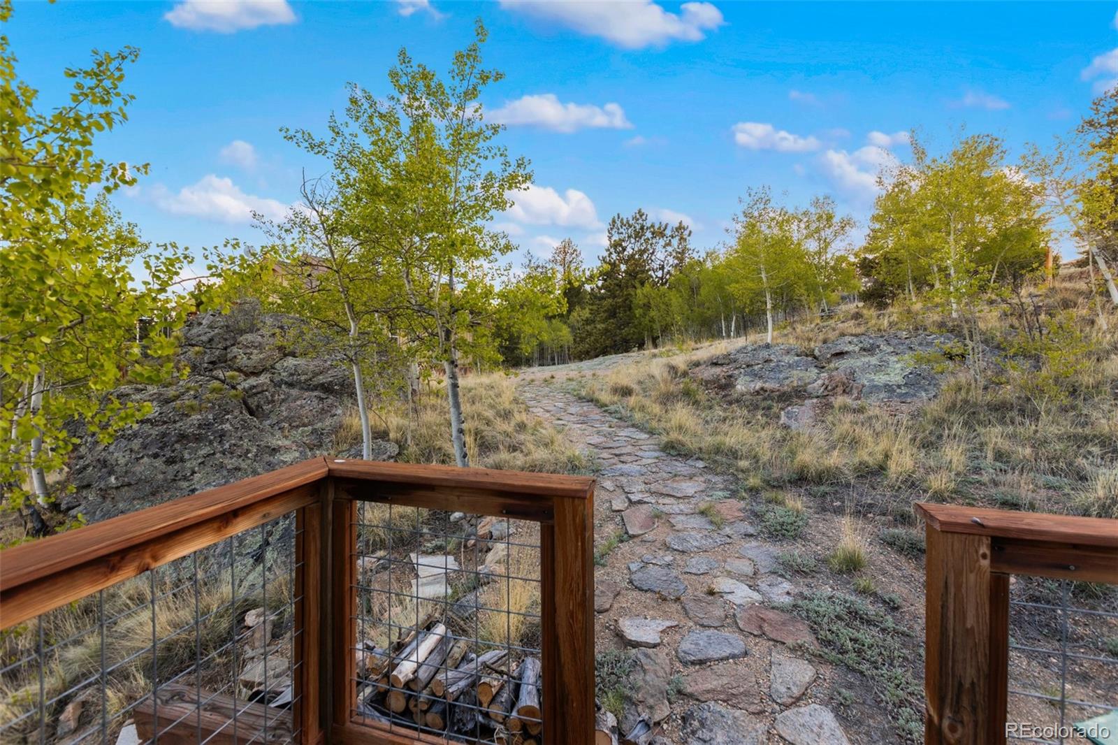 MLS Image #41 for 1792  ute trail,jefferson, Colorado