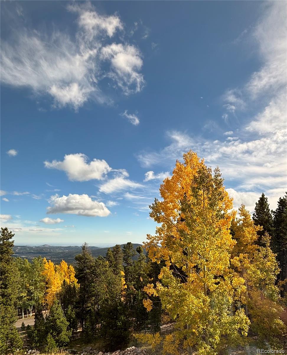 MLS Image #44 for 10766  timothys drive,conifer, Colorado