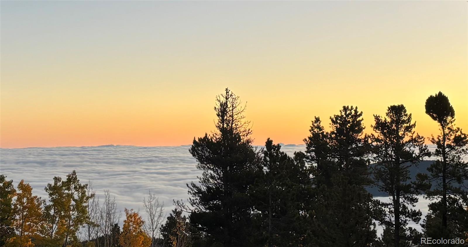 MLS Image #45 for 10766  timothys drive,conifer, Colorado