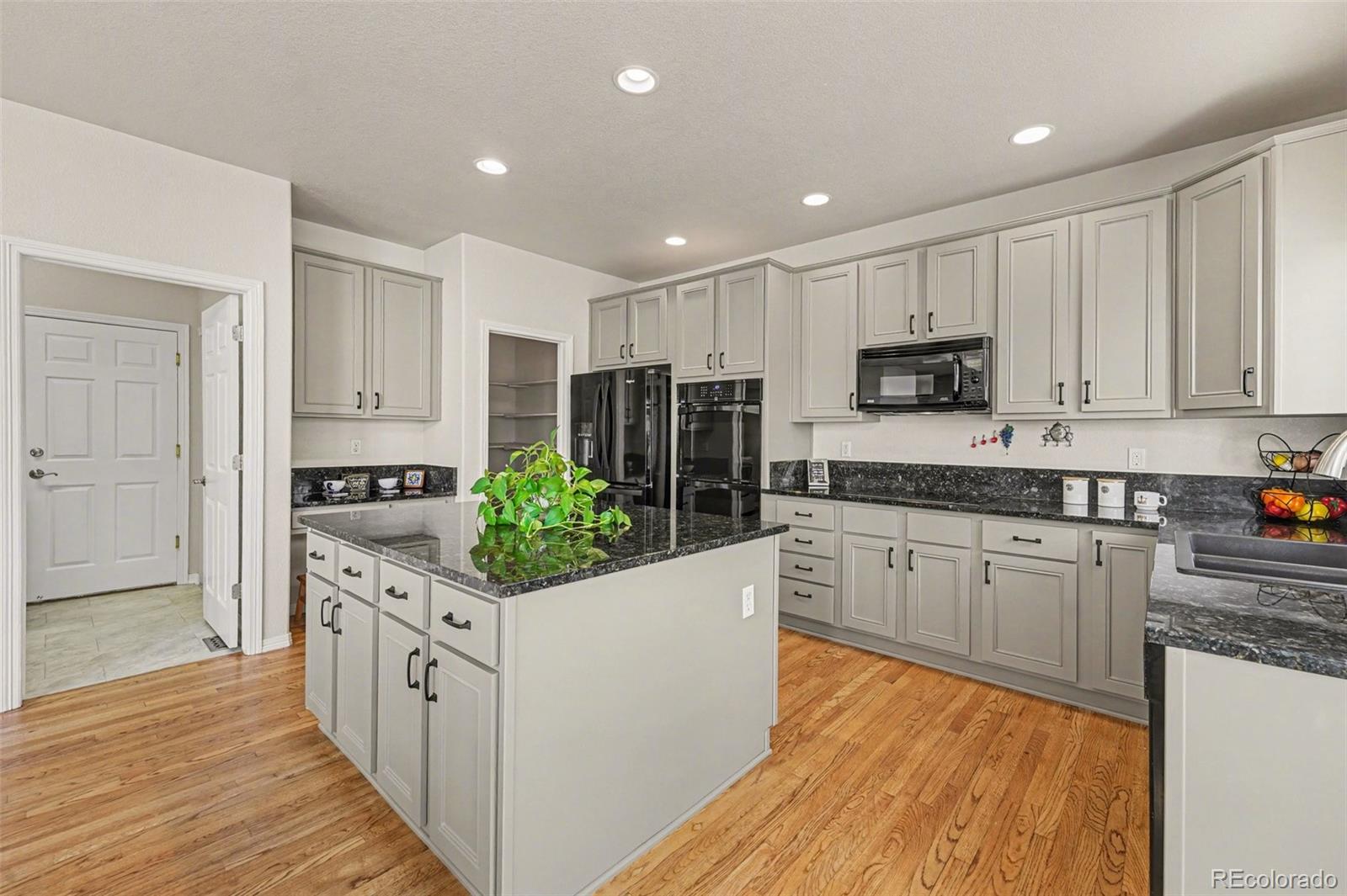 MLS Image #3 for 10617  clarke farms drive,parker, Colorado