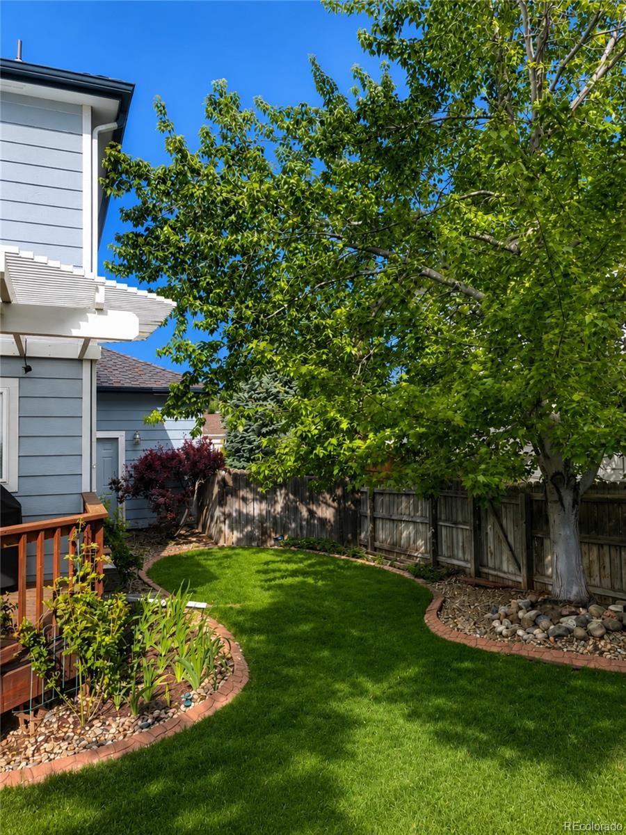 MLS Image #31 for 10617  clarke farms drive,parker, Colorado
