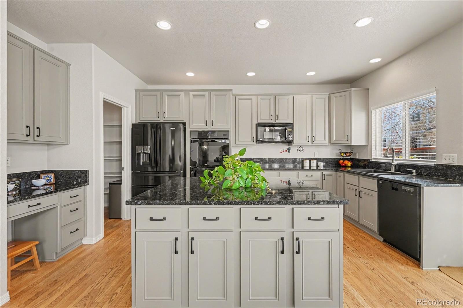 MLS Image #4 for 10617  clarke farms drive,parker, Colorado