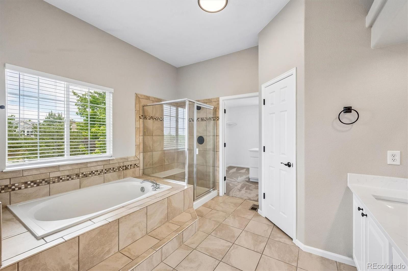 MLS Image #18 for 3801 s malaya court,aurora, Colorado