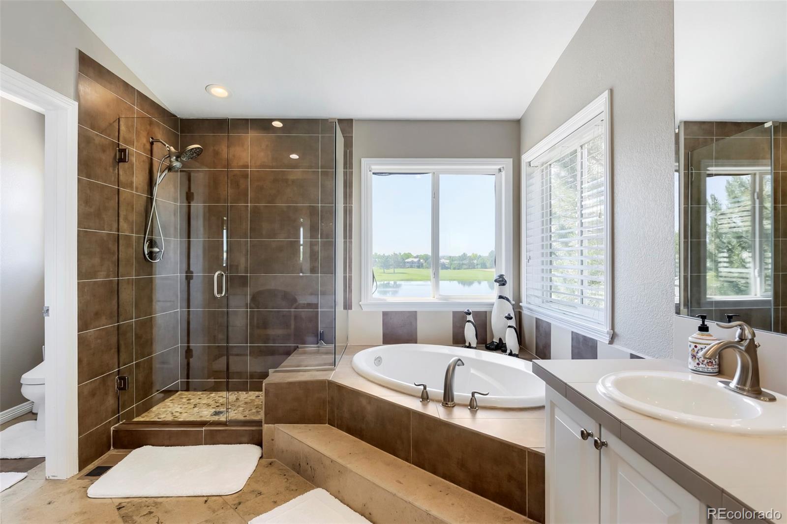 MLS Image #14 for 2500  greensborough drive,highlands ranch, Colorado