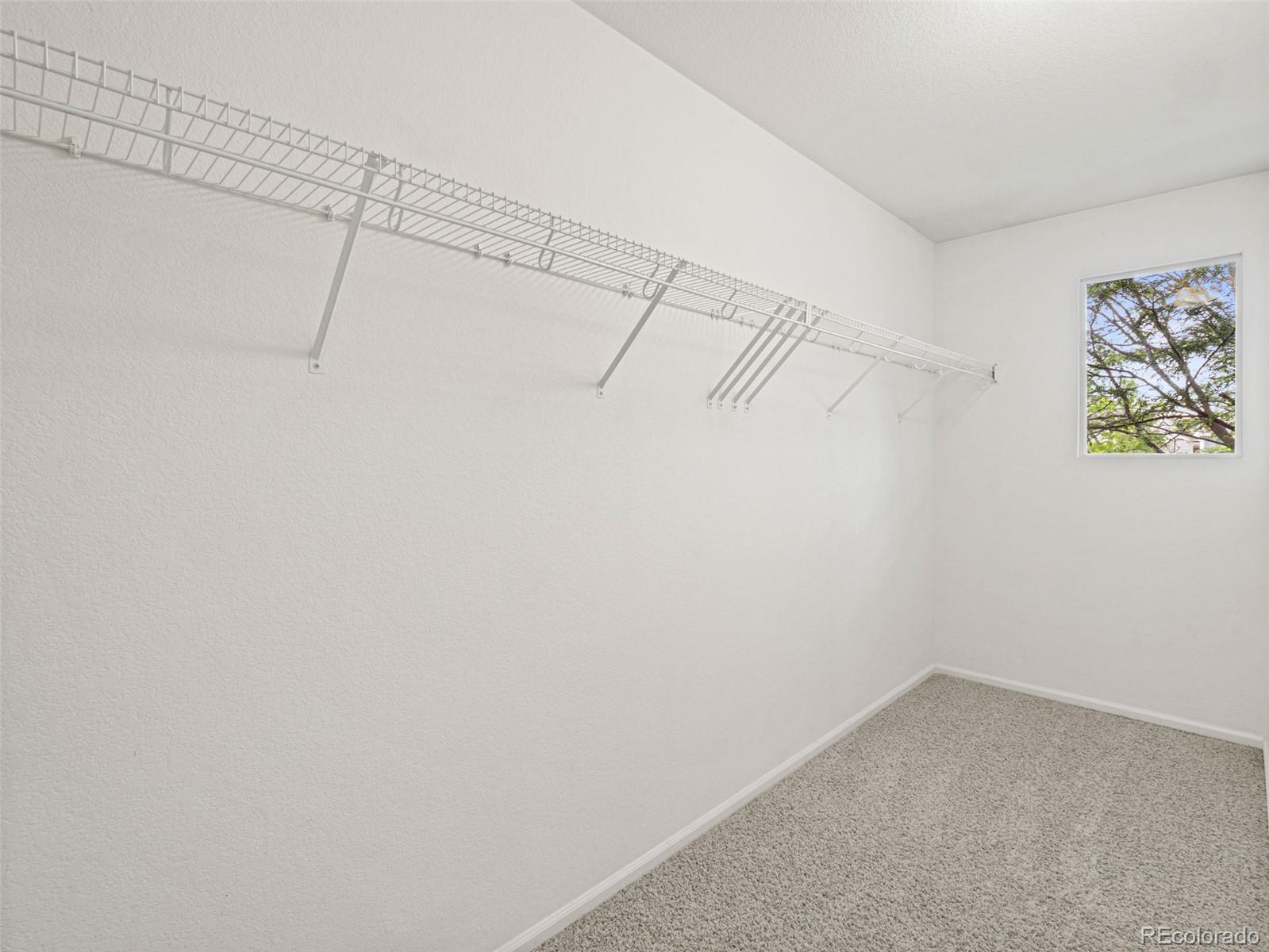 MLS Image #10 for 10678  upper ridge road,longmont, Colorado