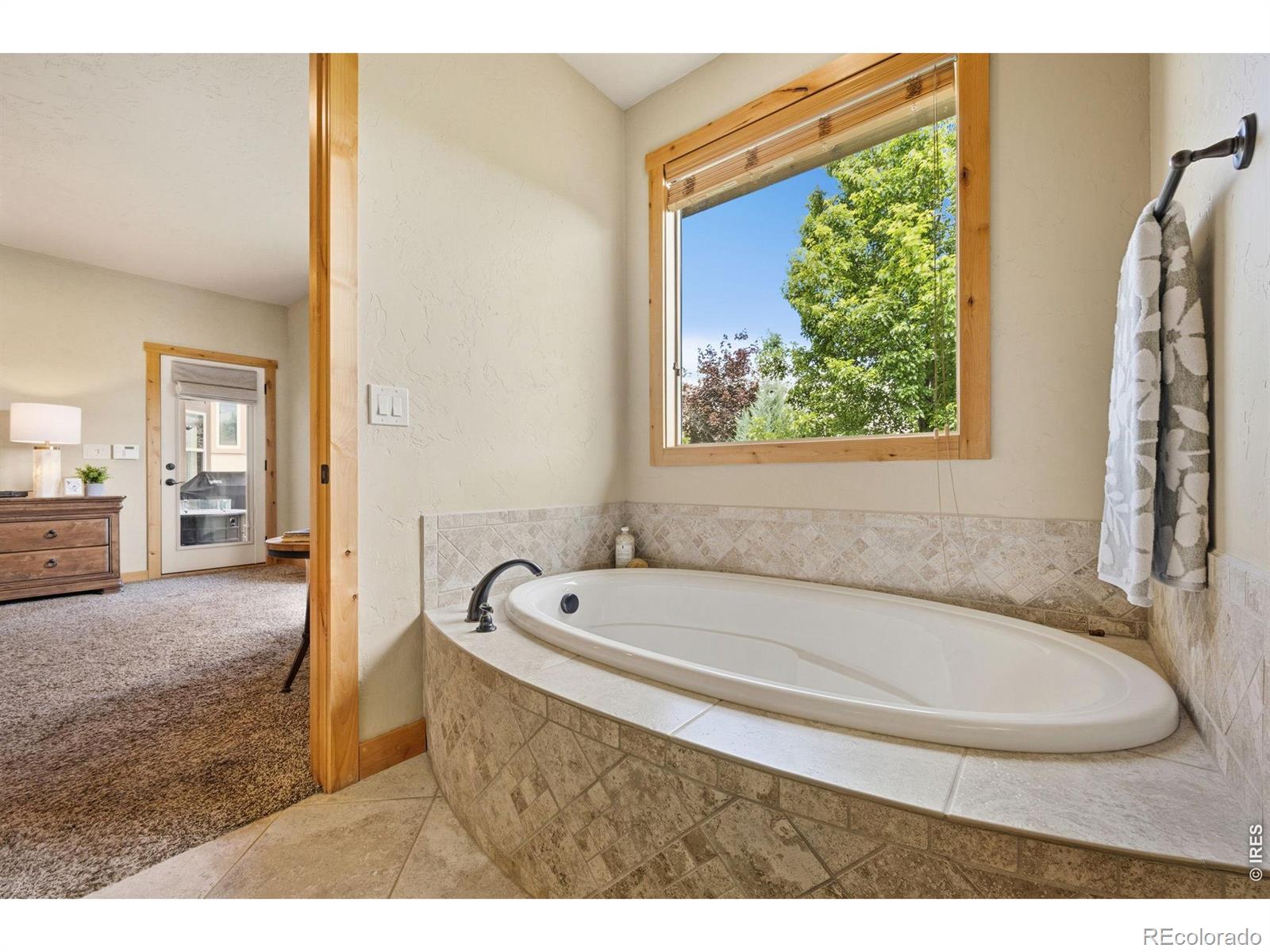 MLS Image #20 for 5506  evangeline drive,windsor, Colorado
