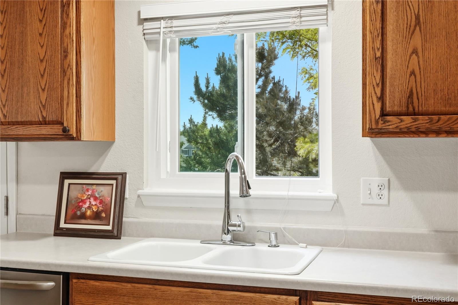 MLS Image #9 for 23496  broadmoor drive,parker, Colorado