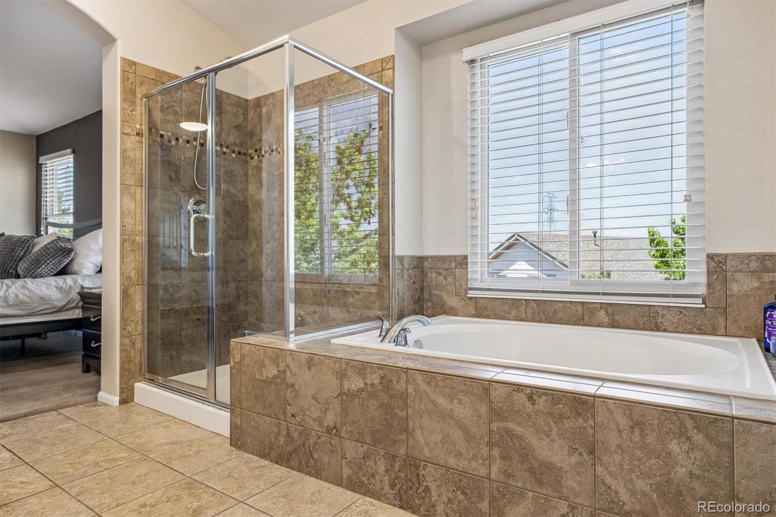MLS Image #20 for 11828  trail view lane,parker, Colorado