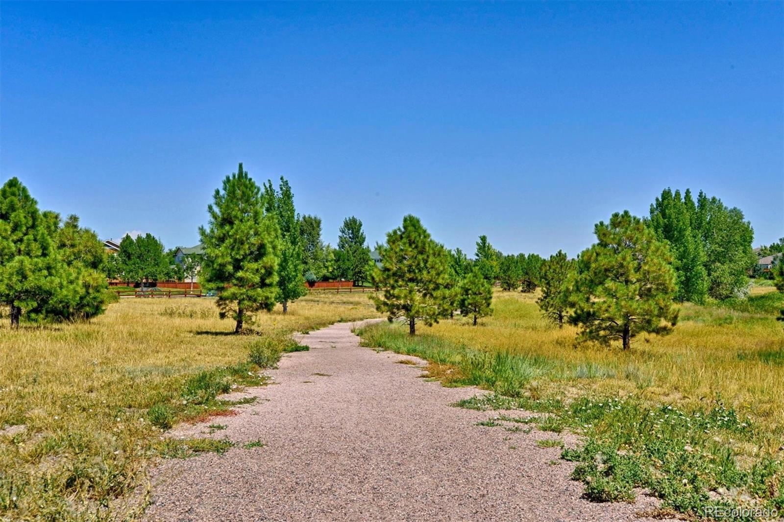 MLS Image #39 for 11828  trail view lane,parker, Colorado