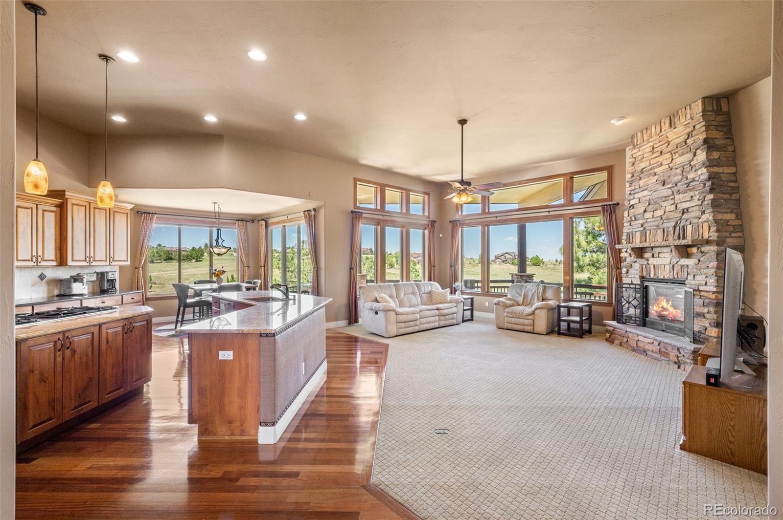 MLS Image #6 for 483  red cedar circle,parker, Colorado