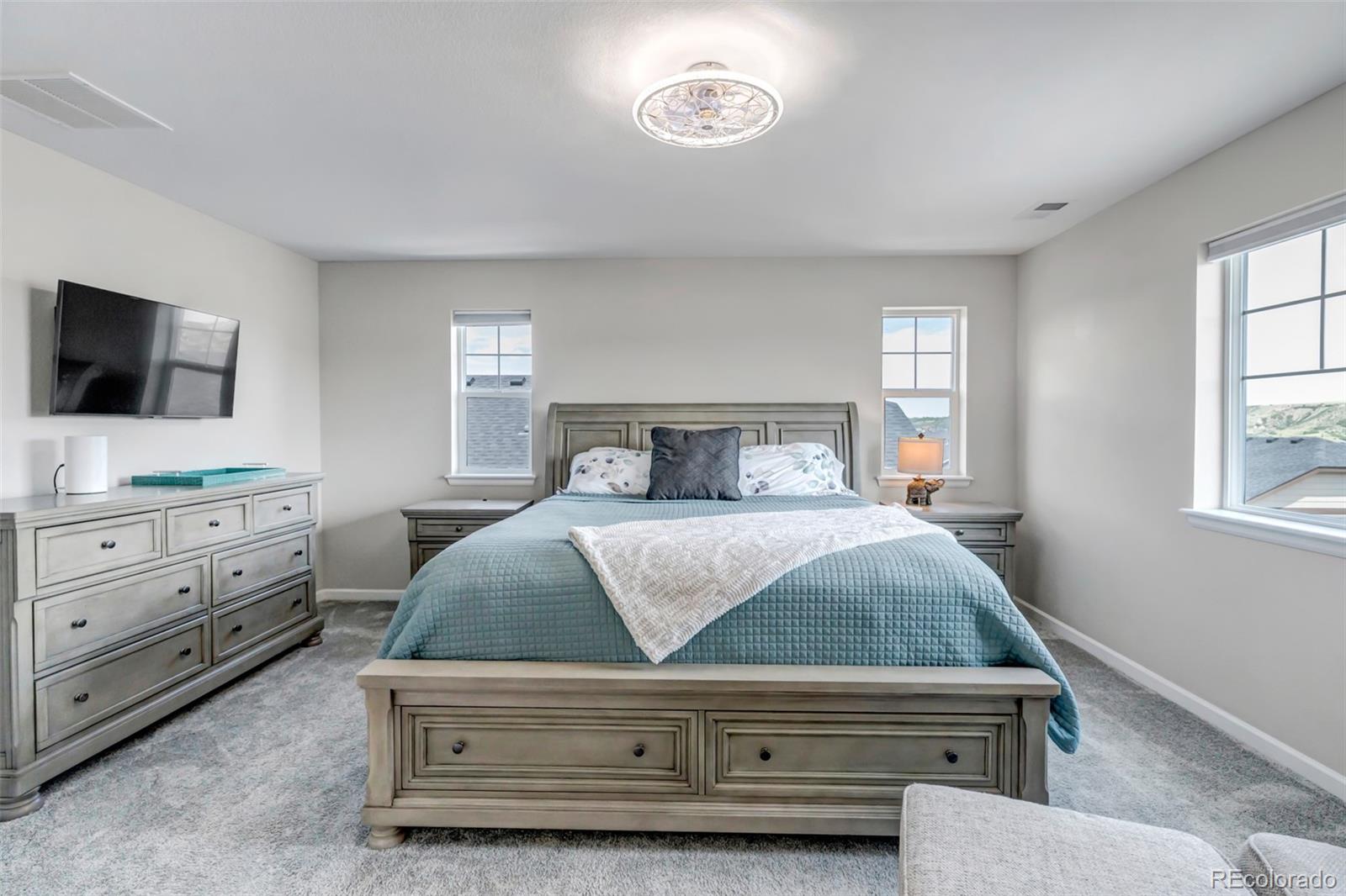 MLS Image #17 for 5214  ditmars trail,castle rock, Colorado