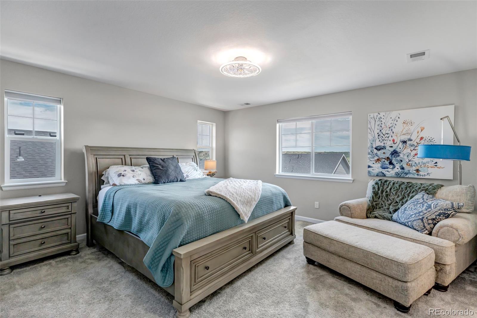 MLS Image #18 for 5214  ditmars trail,castle rock, Colorado
