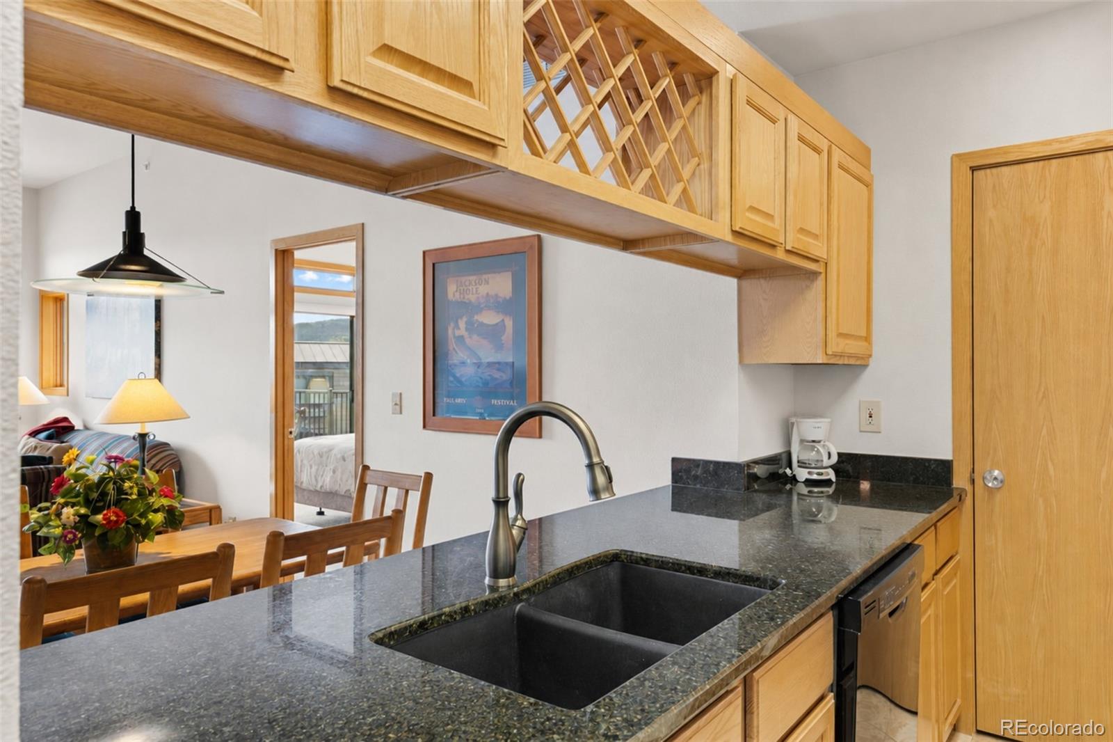 MLS Image #14 for 1650  lakeview terrace,frisco, Colorado