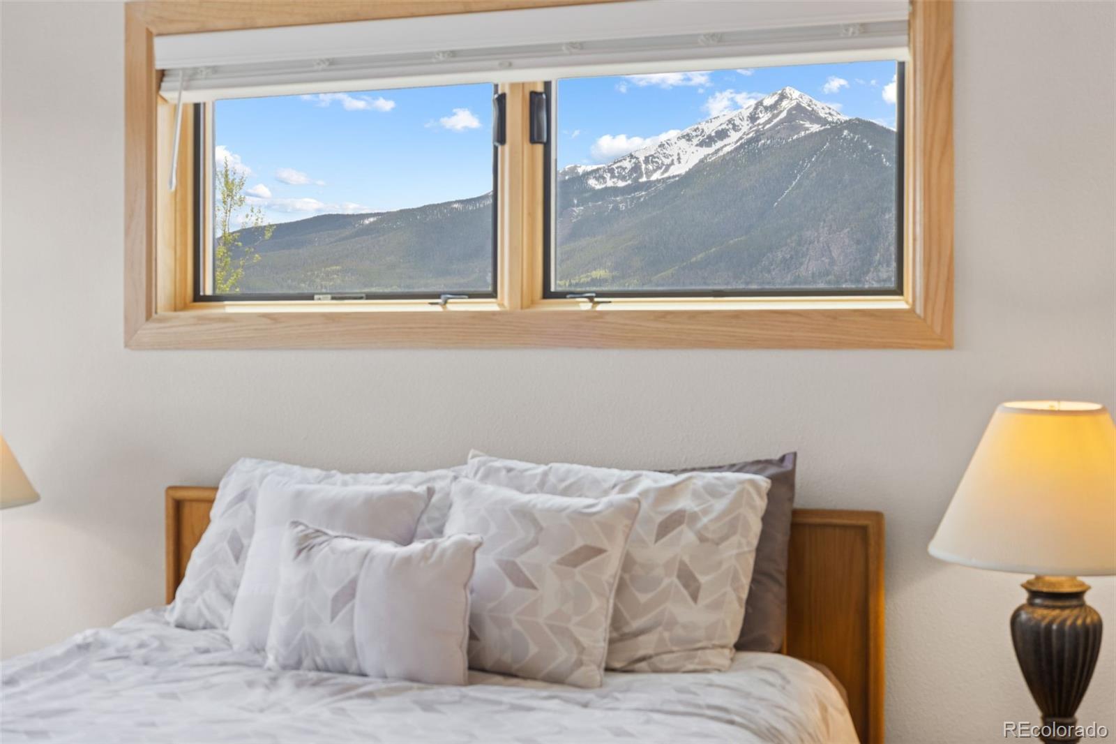 MLS Image #22 for 1650  lakeview terrace,frisco, Colorado