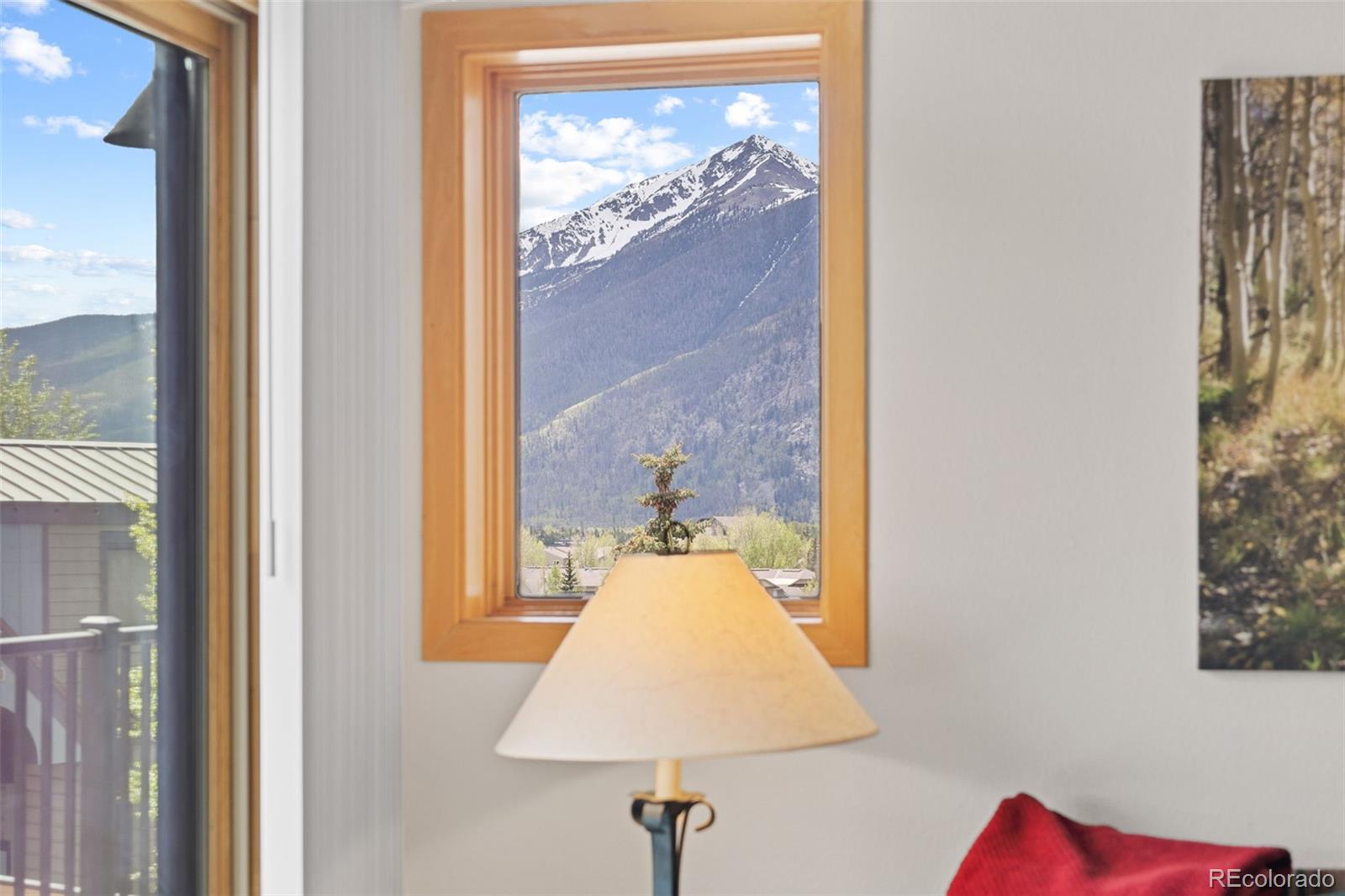 MLS Image #6 for 1650  lakeview terrace,frisco, Colorado