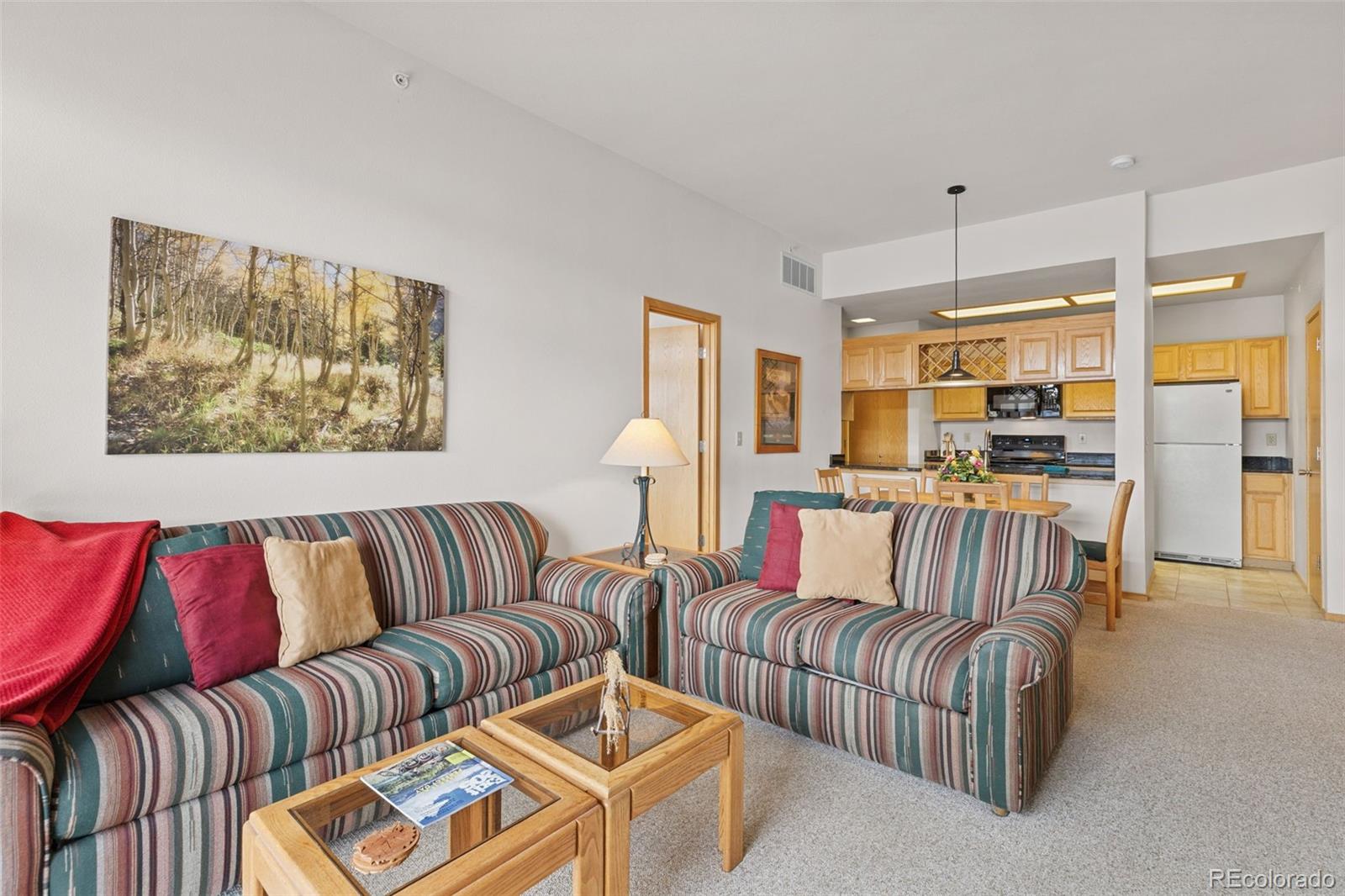 MLS Image #8 for 1650  lakeview terrace,frisco, Colorado