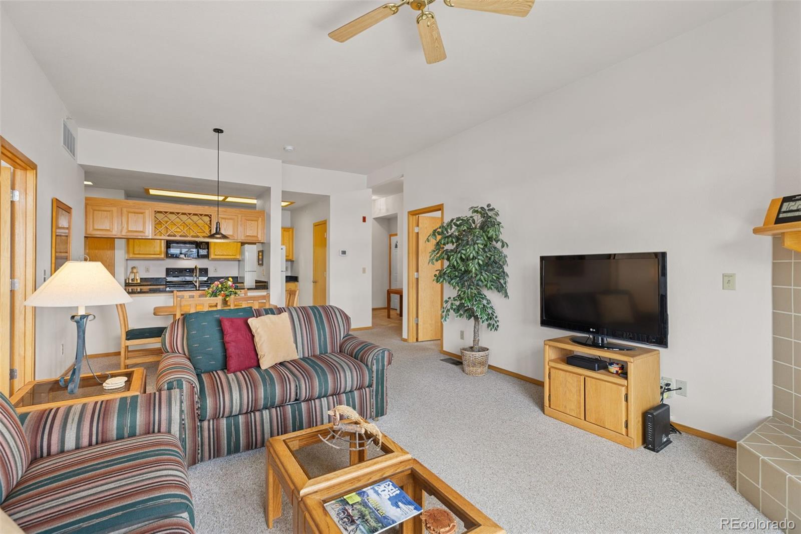 MLS Image #9 for 1650  lakeview terrace,frisco, Colorado