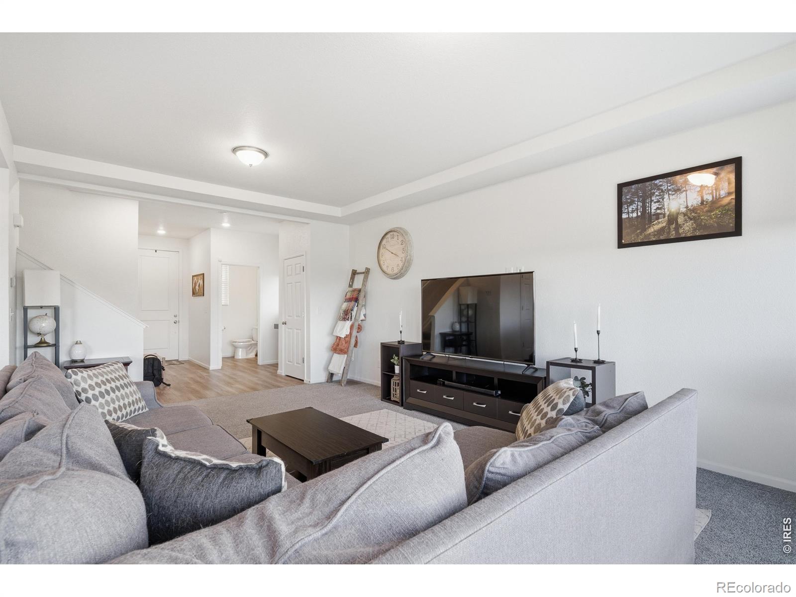 MLS Image #10 for 16541 e 111th drive,commerce city, Colorado