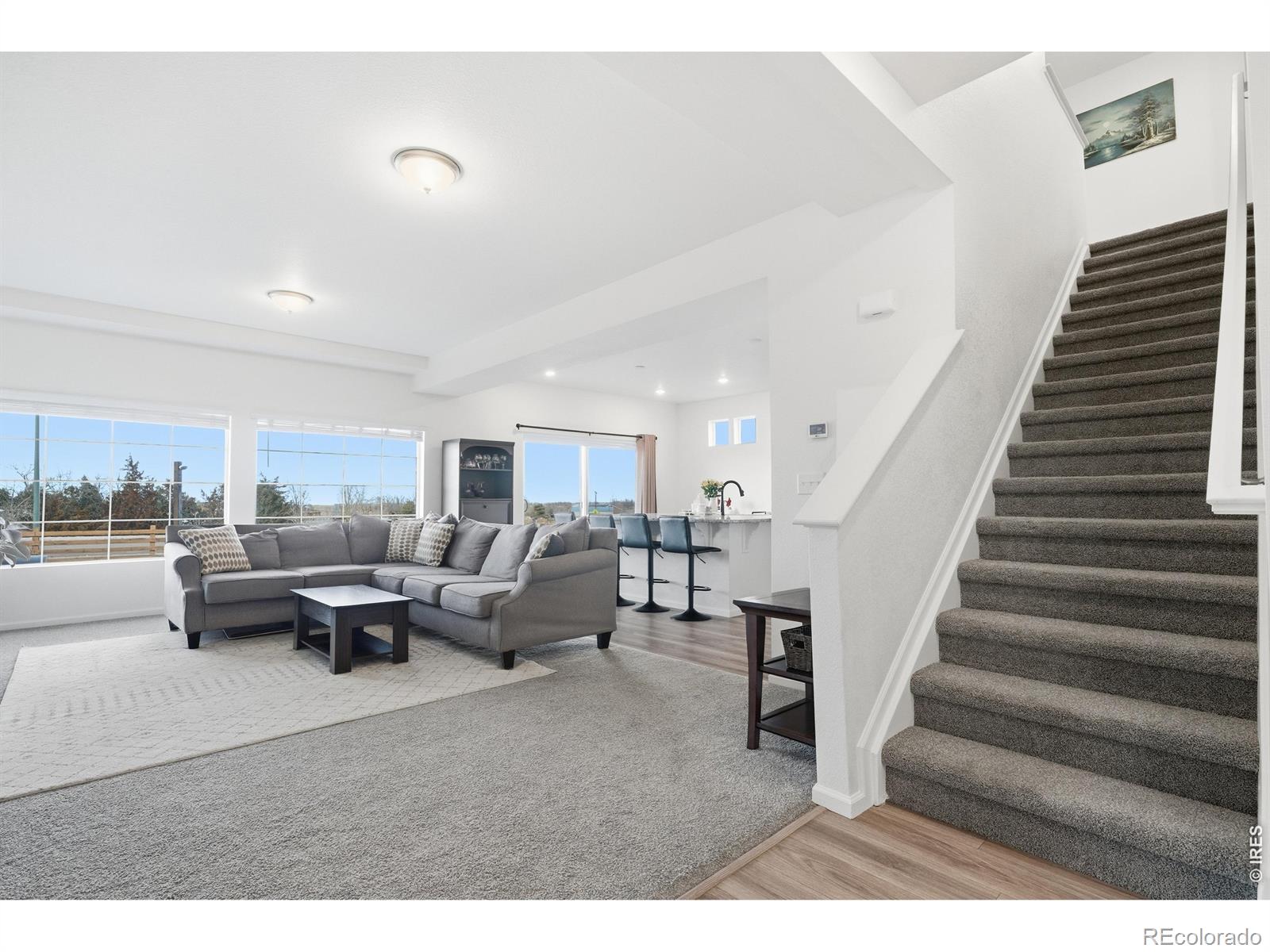 MLS Image #6 for 16541 e 111th drive,commerce city, Colorado