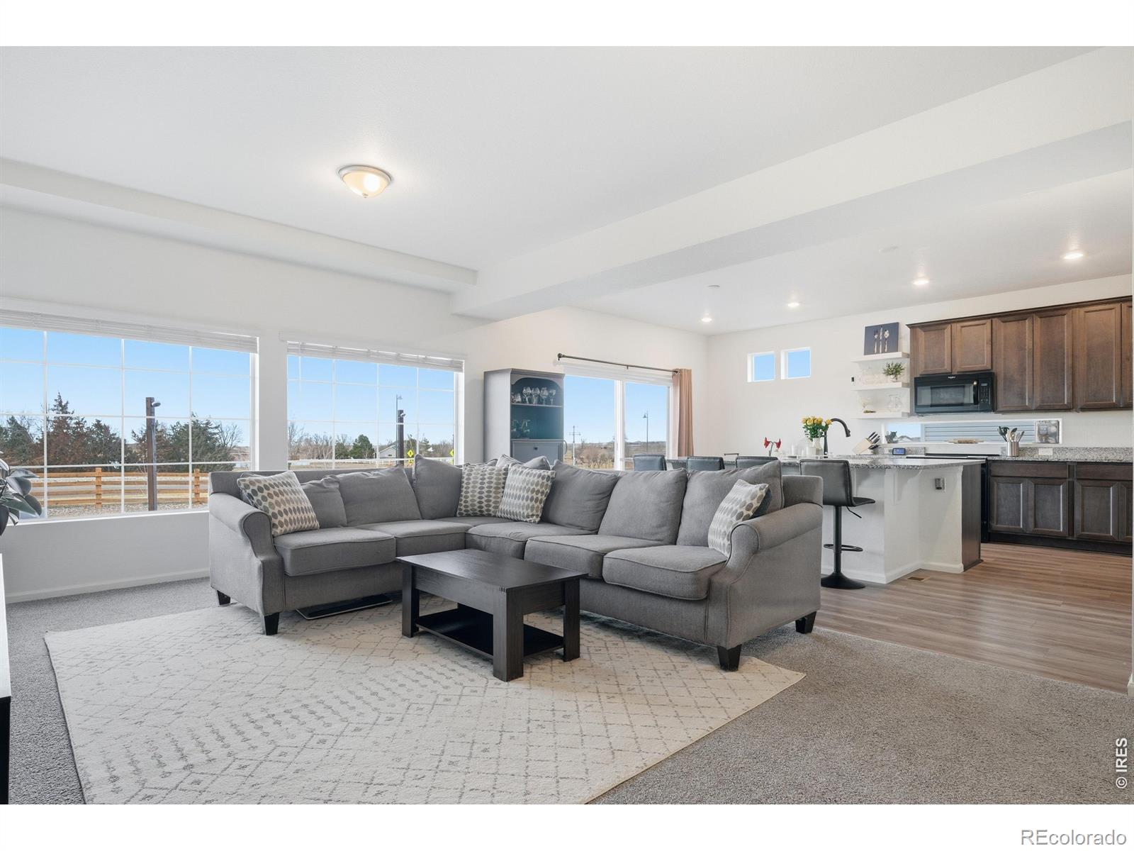 MLS Image #7 for 16541 e 111th drive,commerce city, Colorado