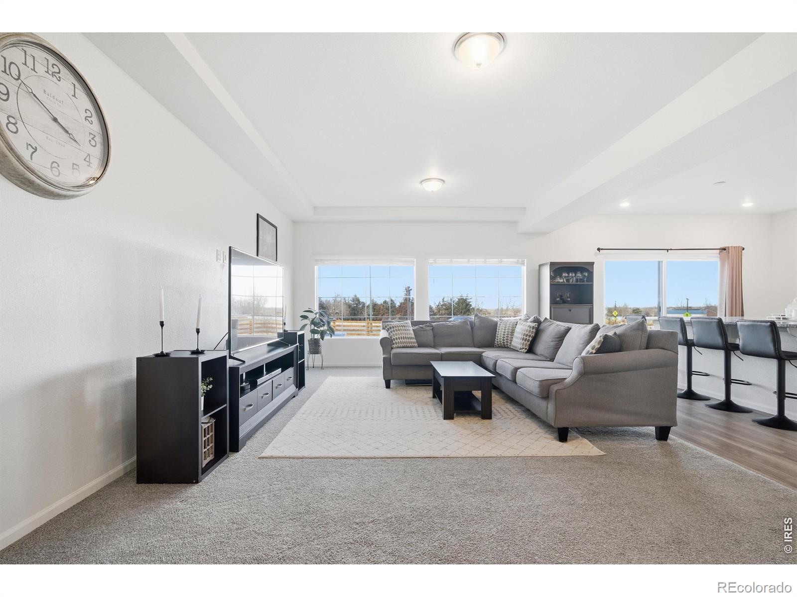 MLS Image #8 for 16541 e 111th drive,commerce city, Colorado
