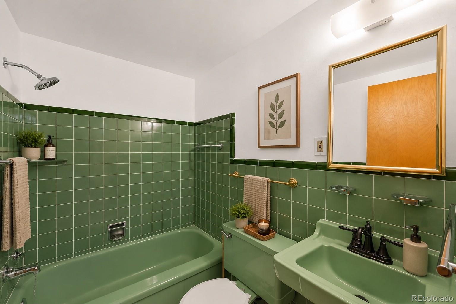 MLS Image #4 for 1175 n emerson street,denver, Colorado