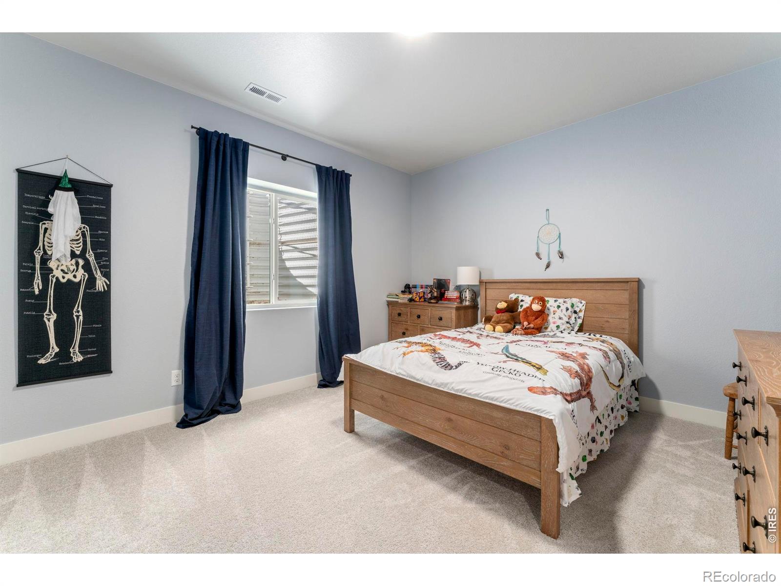 MLS Image #29 for 5017  leopold lane,timnath, Colorado