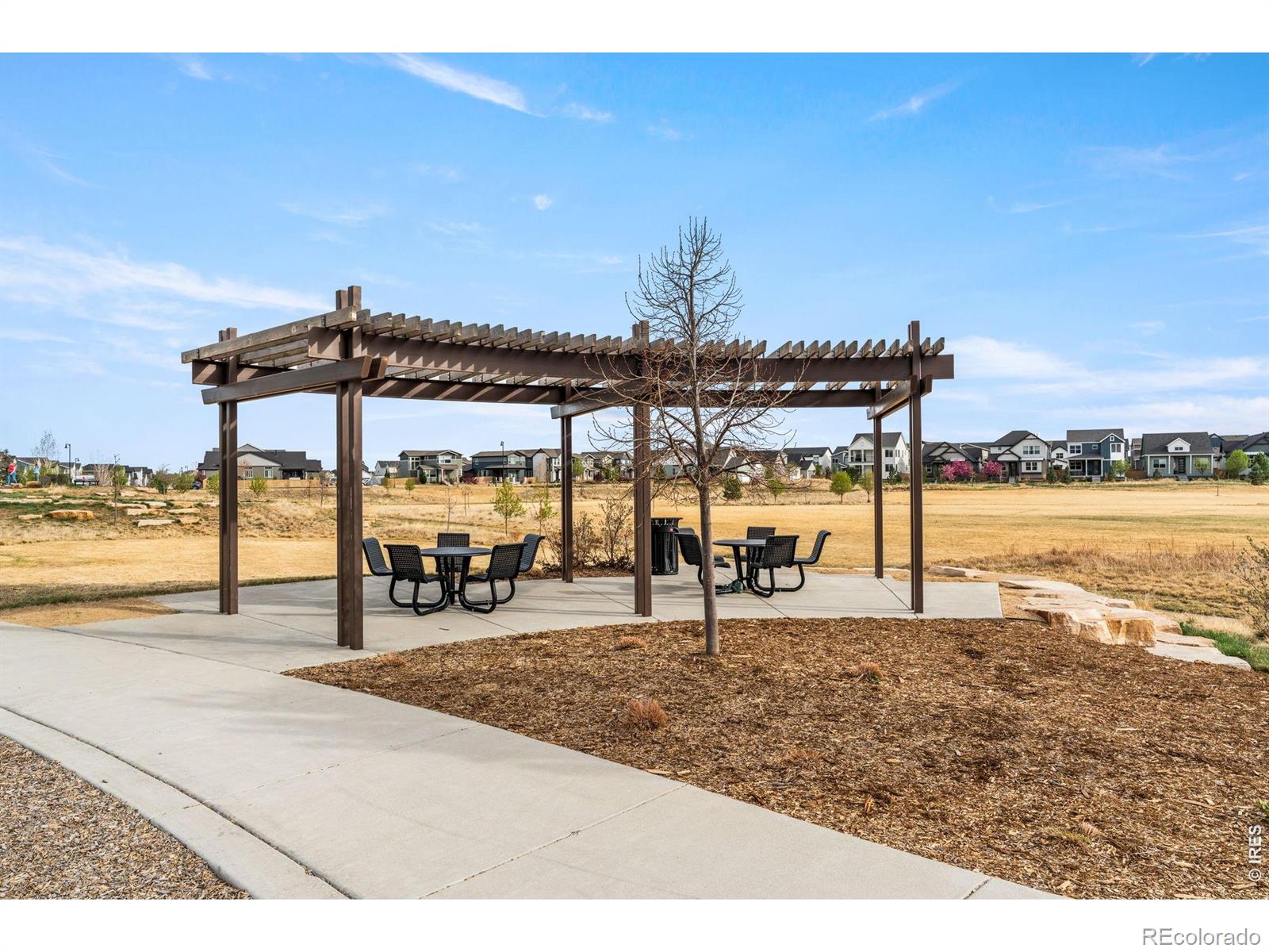 MLS Image #37 for 5017  leopold lane,timnath, Colorado