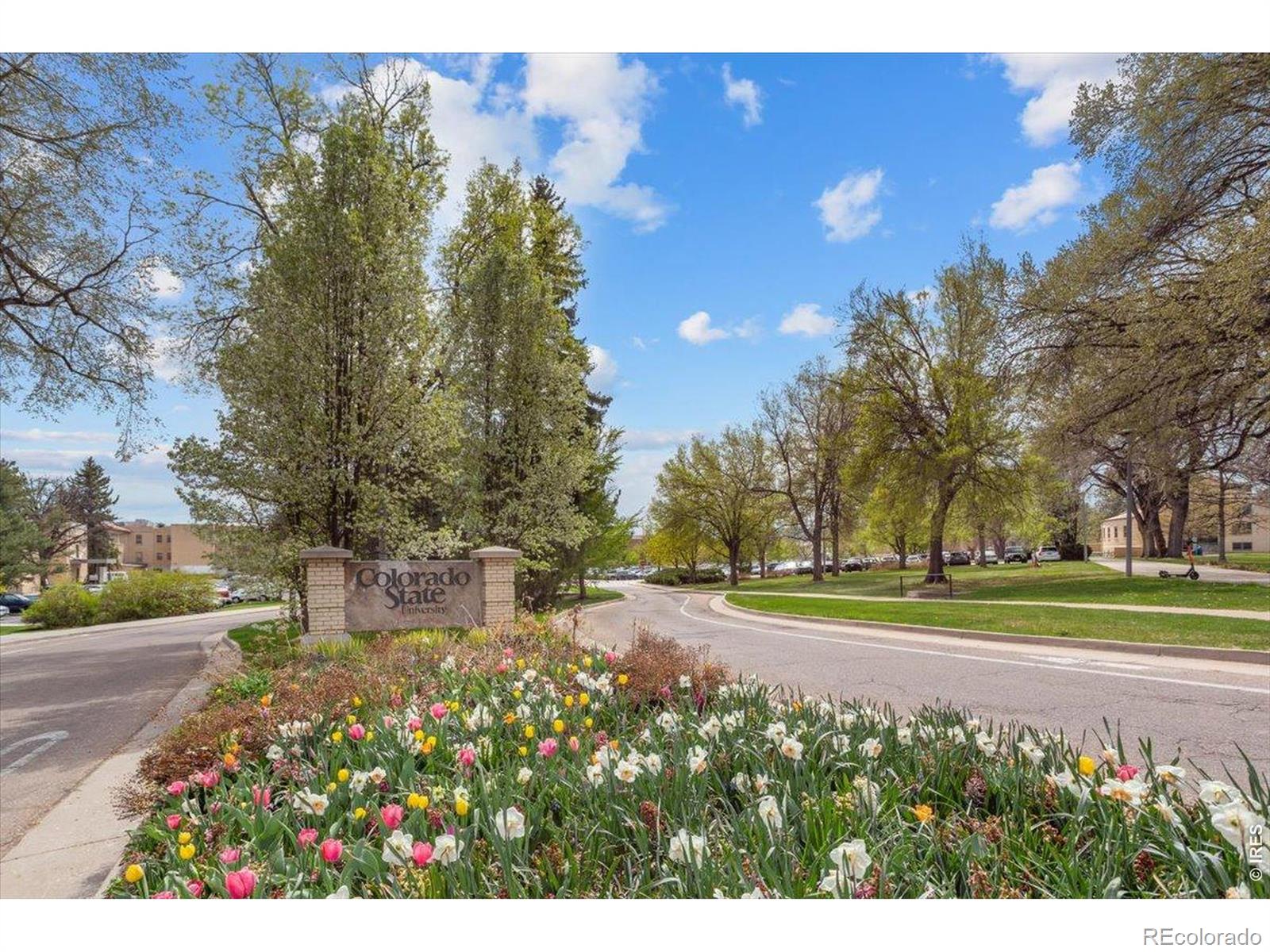 MLS Image #35 for 1012  cuerto lane,fort collins, Colorado