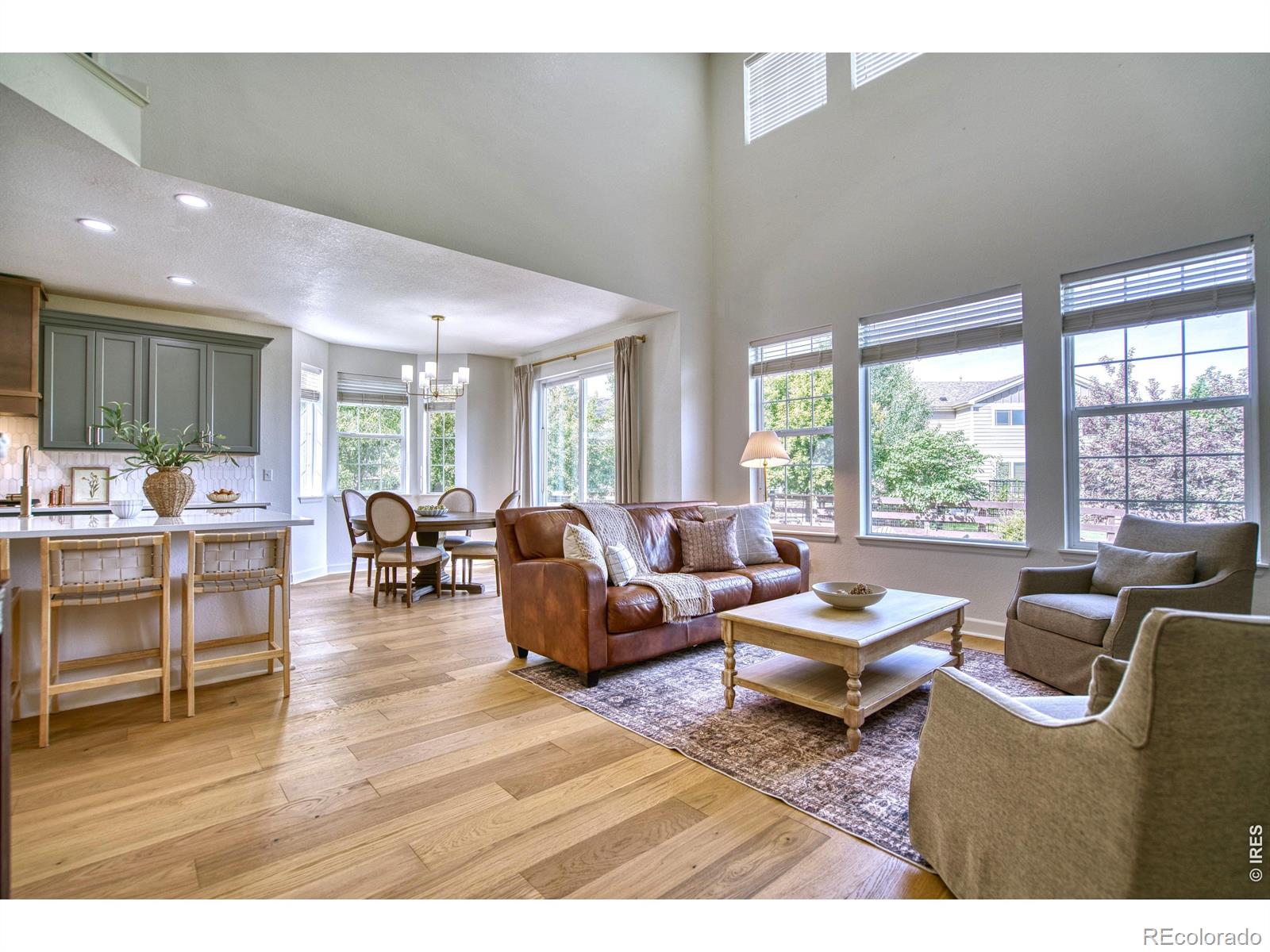 MLS Image #10 for 107  ibiza court,windsor, Colorado