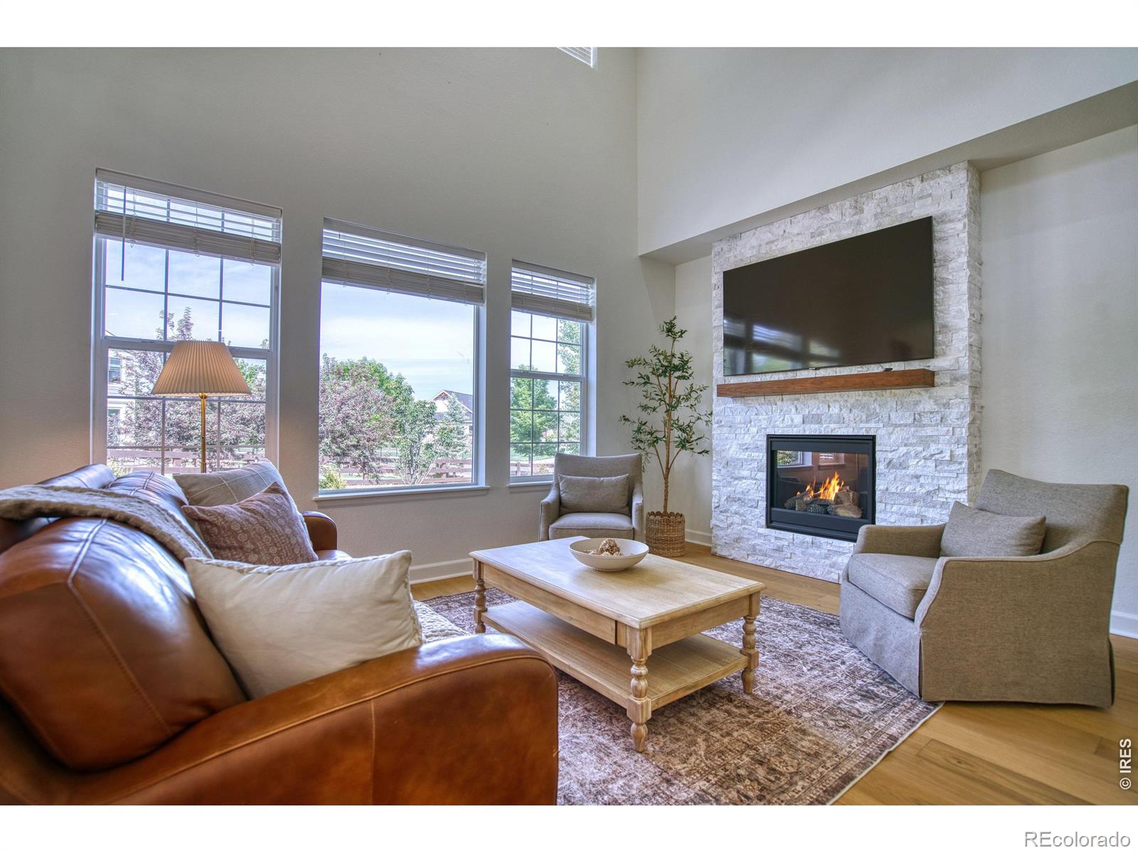 MLS Image #13 for 107  ibiza court,windsor, Colorado