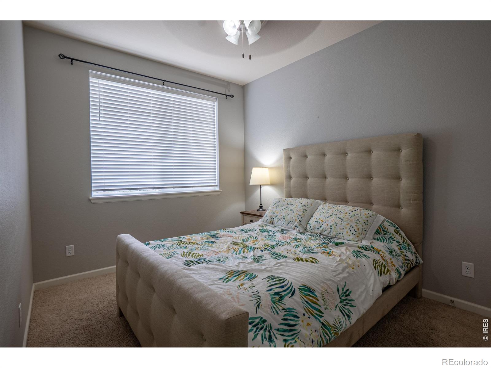 MLS Image #16 for 107  ibiza court,windsor, Colorado