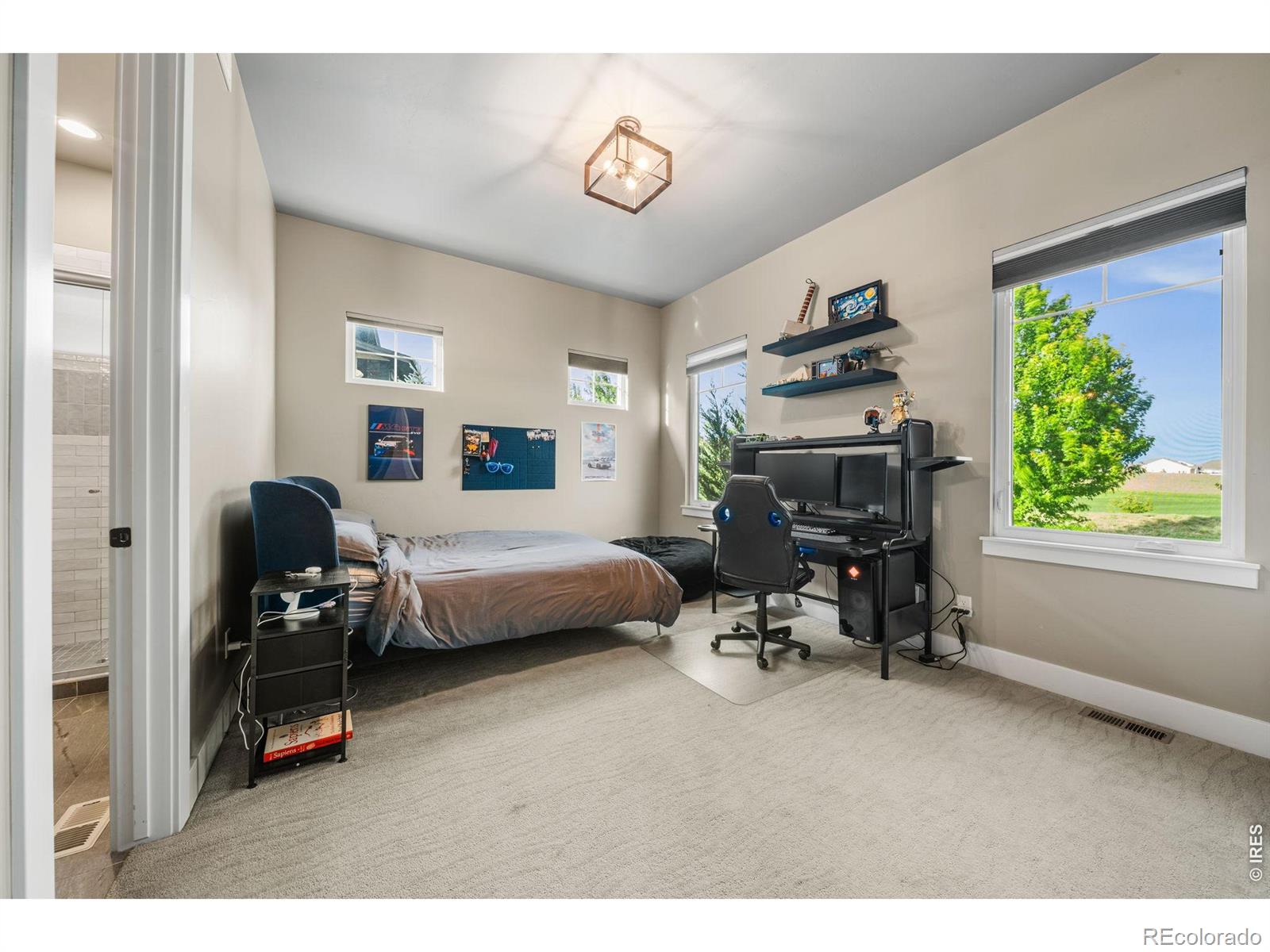 MLS Image #24 for 4134  grand park drive,timnath, Colorado