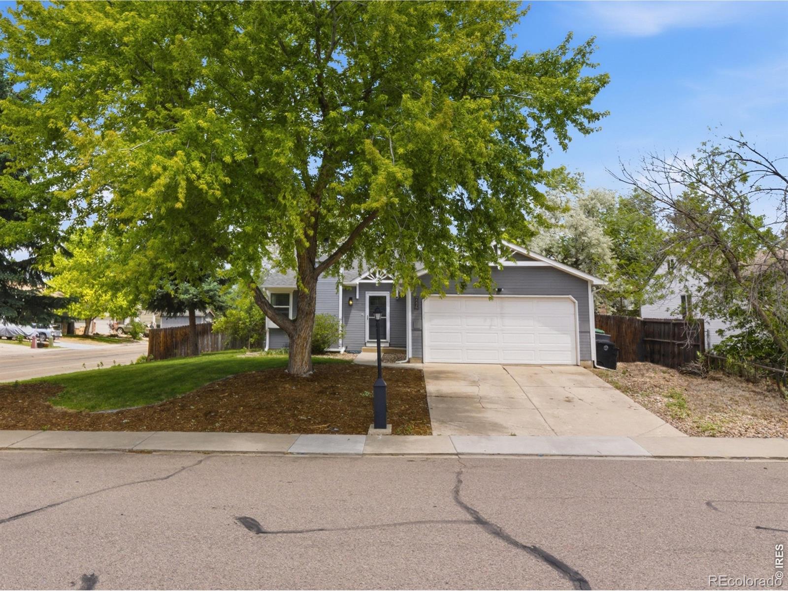MLS Image #1 for 2236  tulip street,longmont, Colorado