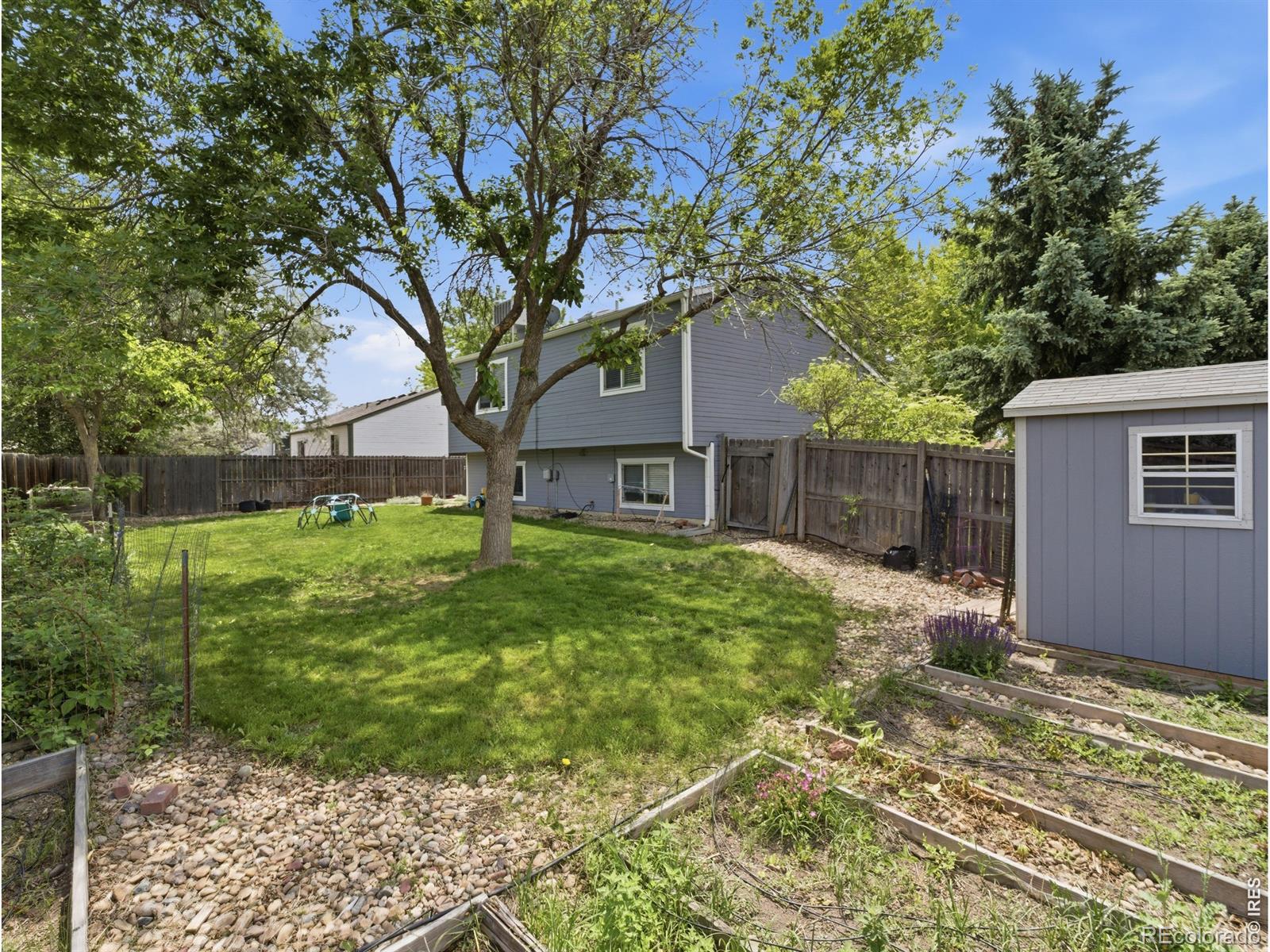 MLS Image #18 for 2236  tulip street,longmont, Colorado