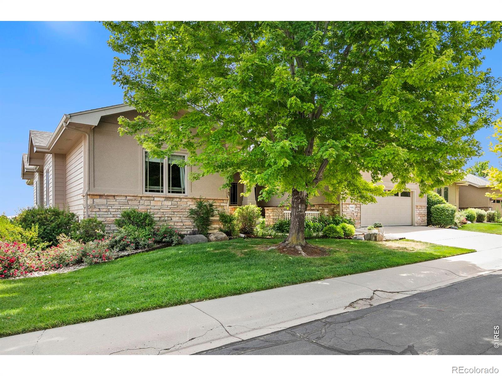 MLS Image #1 for 6482  half moon bay drive,windsor, Colorado