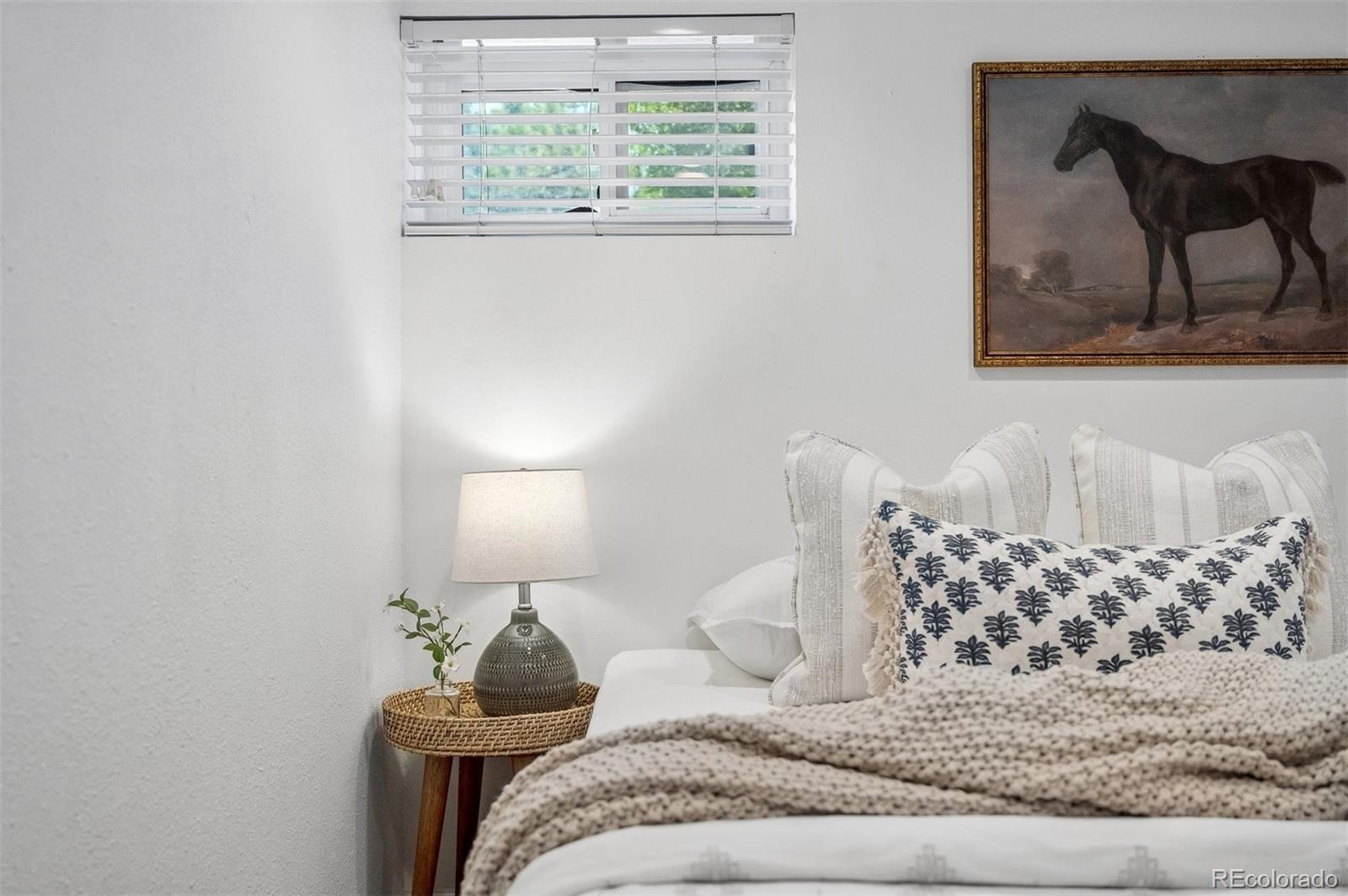 MLS Image #27 for 857  grape street,denver, Colorado