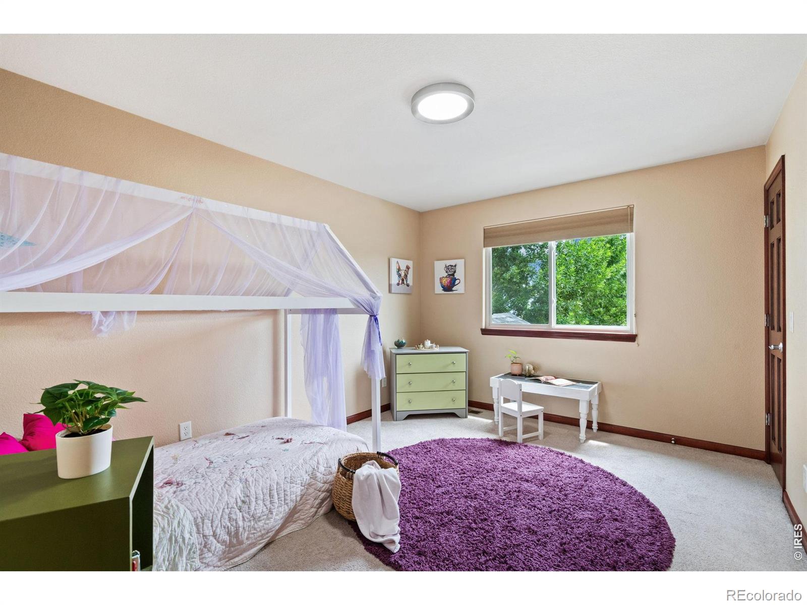 MLS Image #22 for 2765  dafina drive,loveland, Colorado