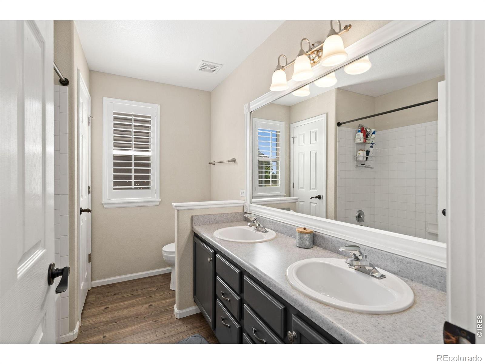 MLS Image #27 for 114  whitney court,windsor, Colorado