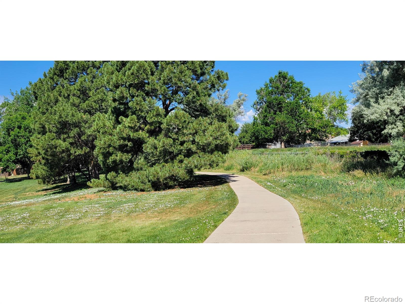 MLS Image #27 for 8651 w 88th place,westminster, Colorado