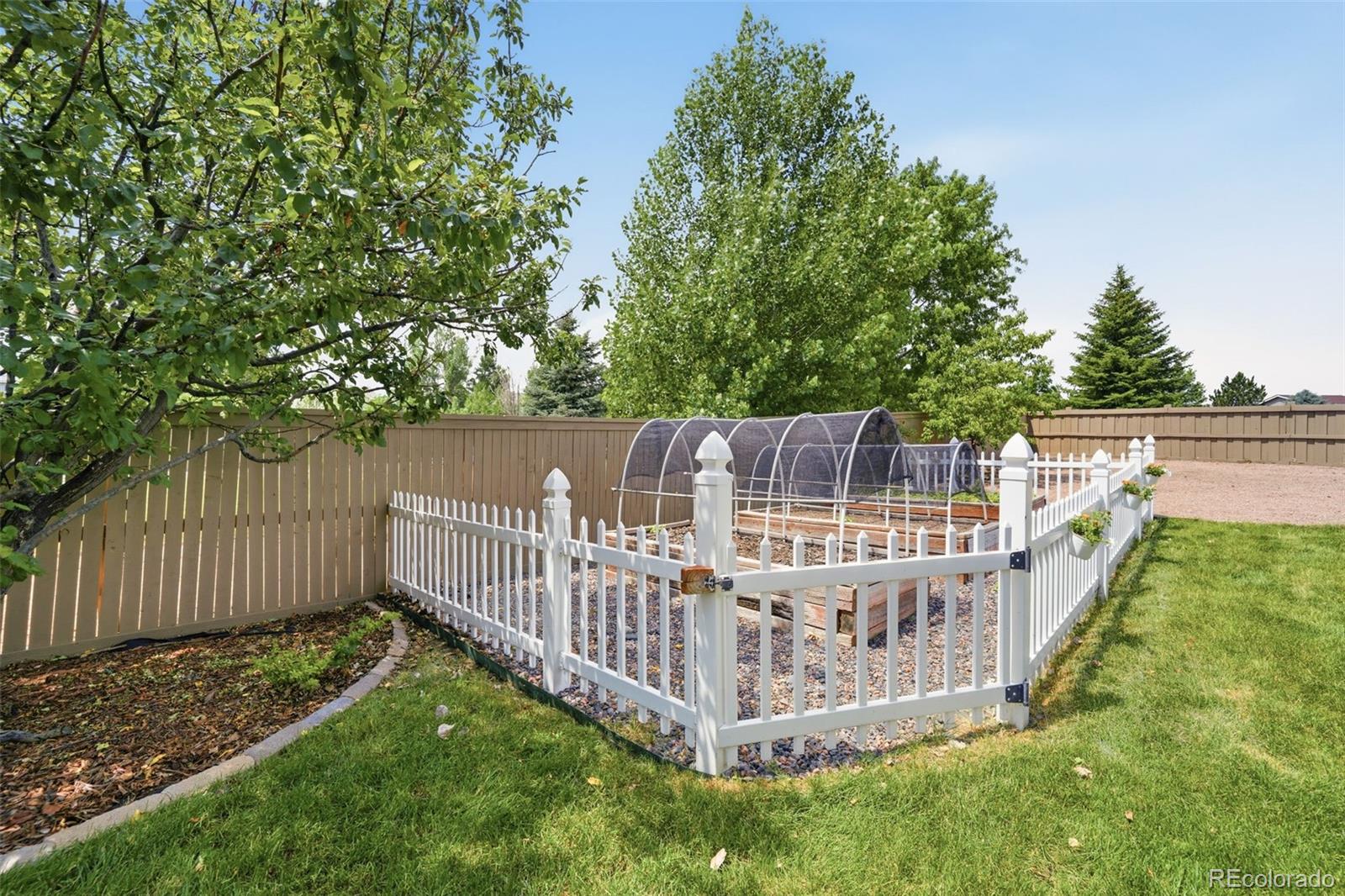 MLS Image #39 for 935  crenshaw street,castle rock, Colorado